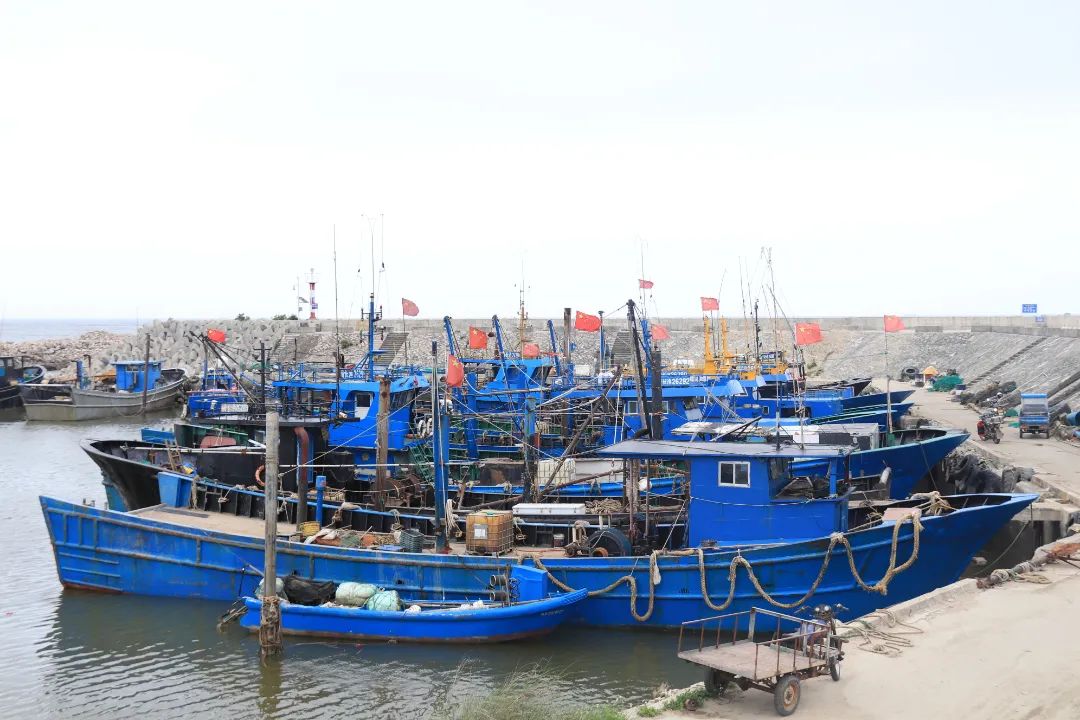 壮观!渔船回港“排排坐”,是因为…… 壮观!渔船回港“排排坐”,是因为……