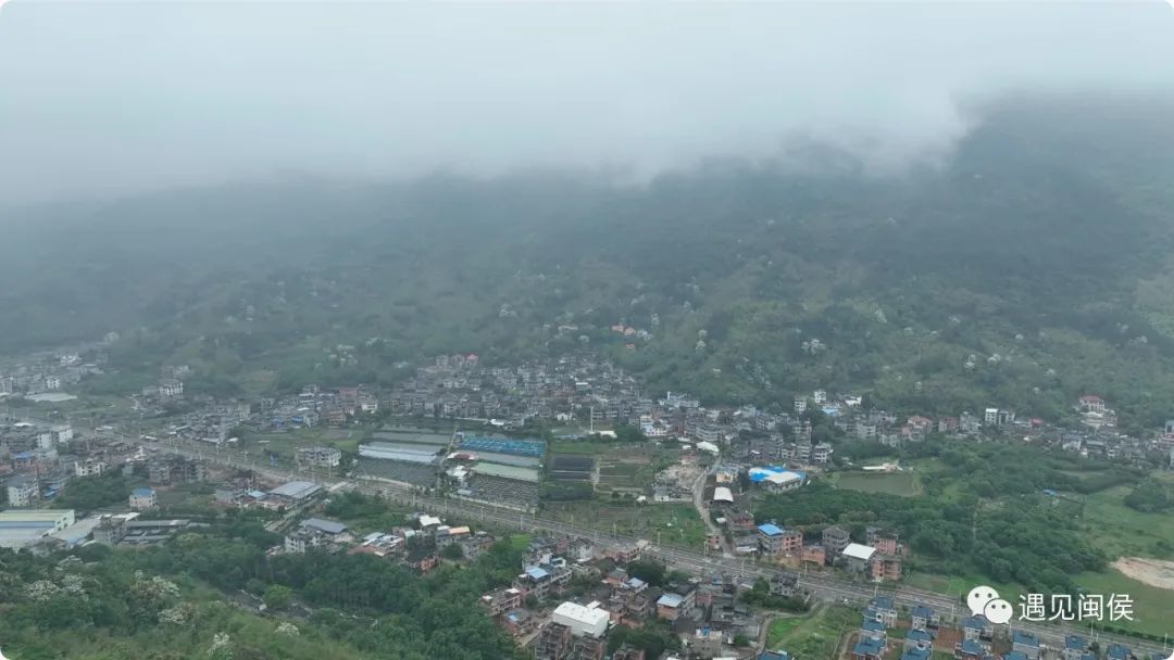 醉心科研、初心不改，走进故乡，走近“世纪麦翁”庄巧生院士的一生......