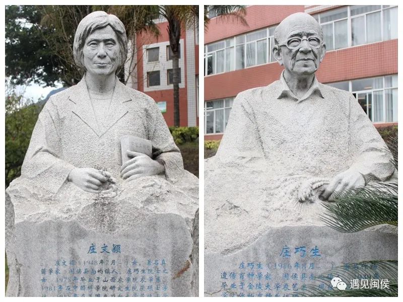 醉心科研、初心不改，走进故乡，走近“世纪麦翁”庄巧生院士的一生......