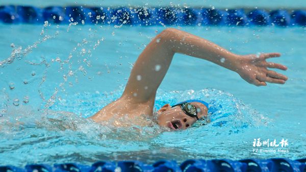 市少儿游泳达标赛举行 8支代表队657名运动员参赛