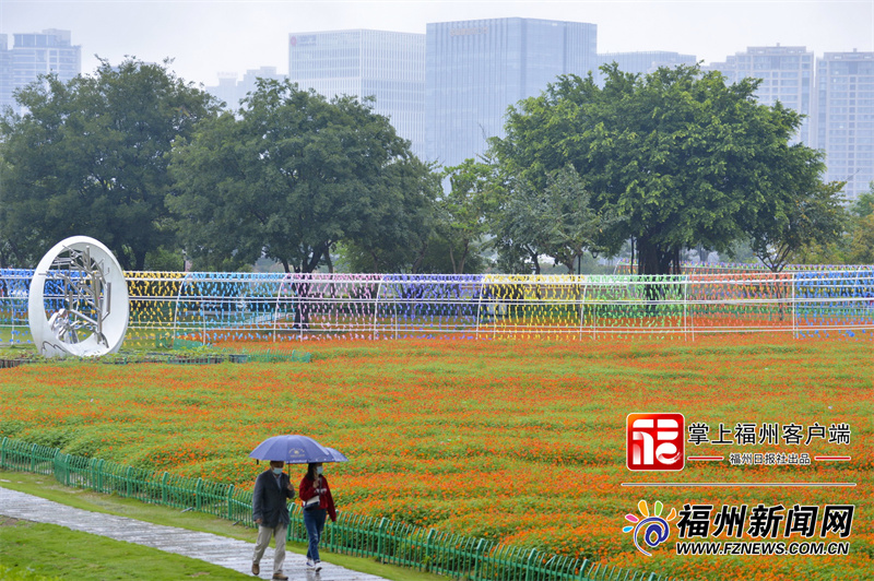 五月追花去！福州多个公园开启新一轮花海“盛宴”