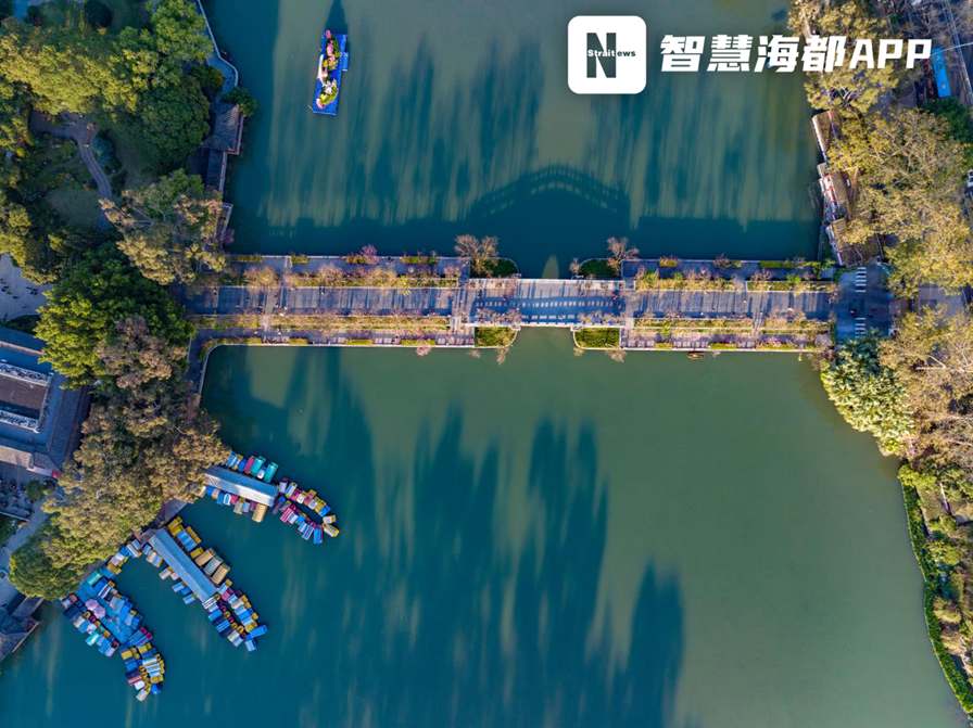 从古到今的“城市名片”！你知道福州西湖柳树的故事吗？