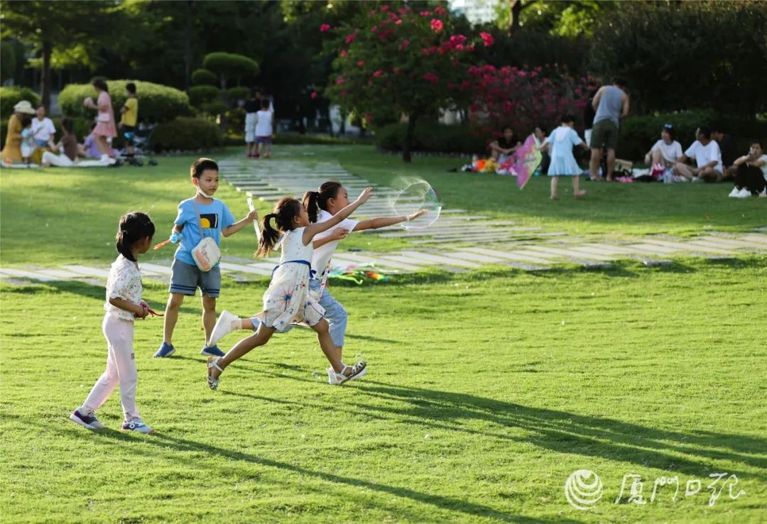 厦门开展五大专项整治行动