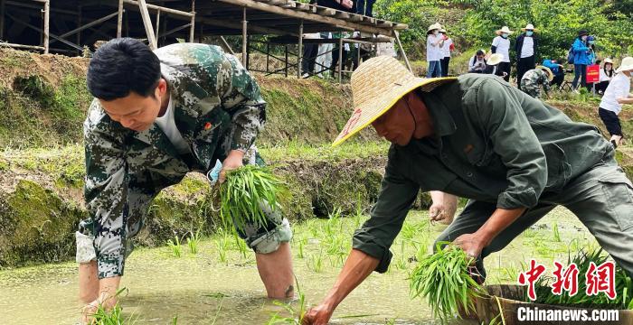 认领“一亩田” 福建屏南创新保障粮食安全新机制