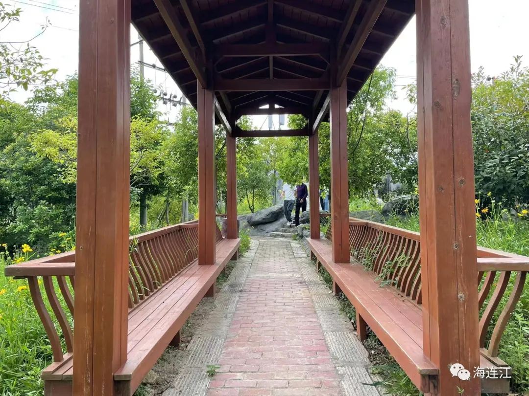 连江这里花开成海！现在去刚刚好！