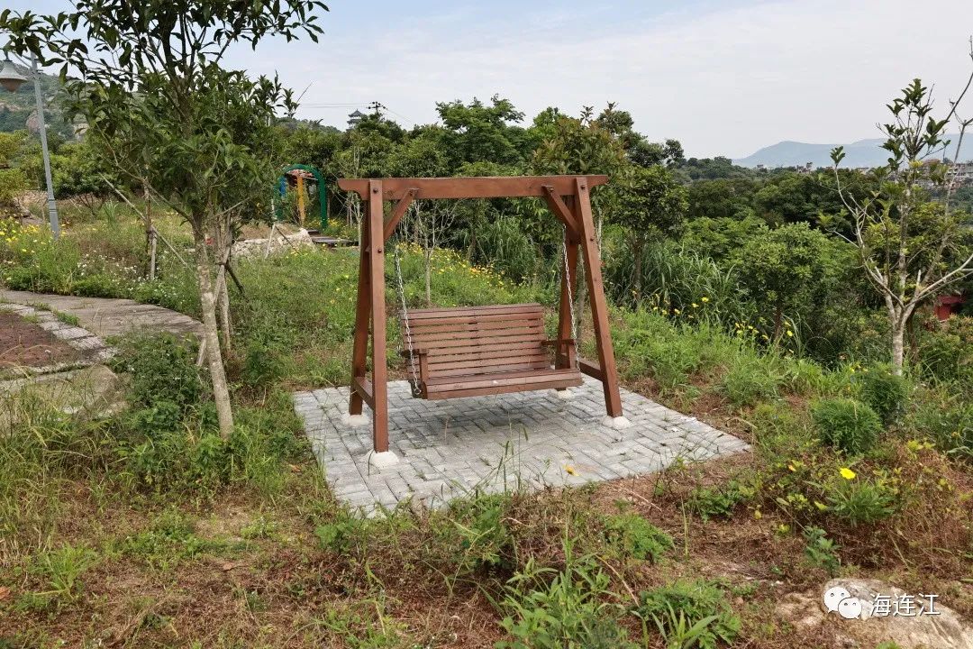 连江这里花开成海！现在去刚刚好！