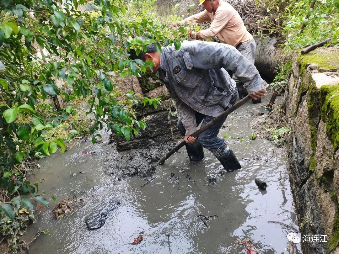 连江这里花开成海！现在去刚刚好！
