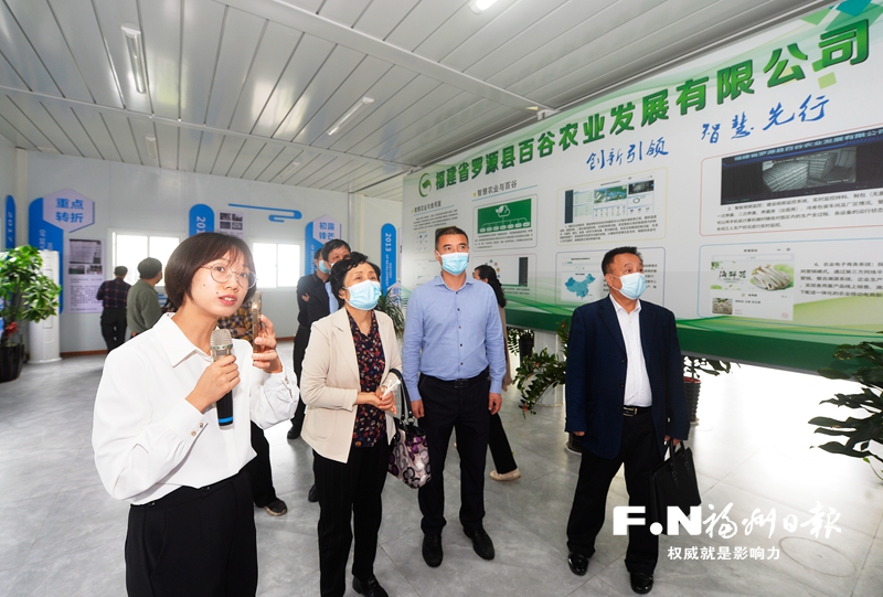 福州罗源：硕士“菇娘” 老区惊艳