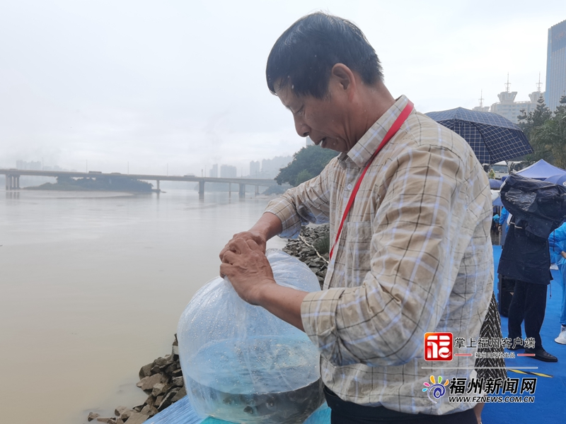 “6·6放鱼日”活动在福州举办 120万尾鱼苗游入闽江