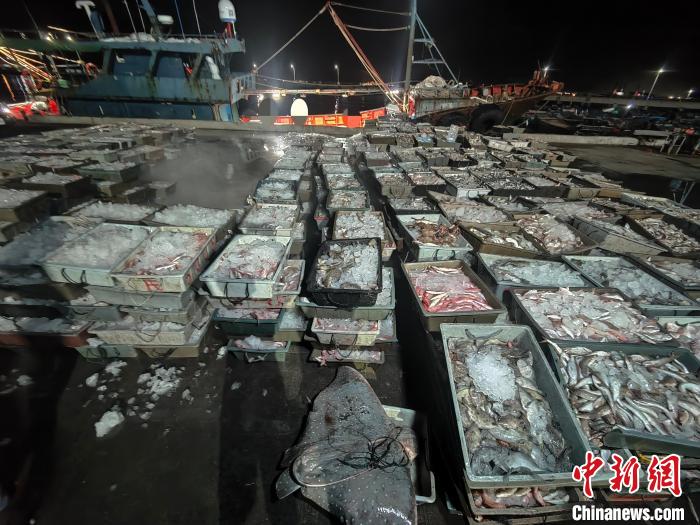 漳州海警局查获一起禁渔期非法收购水产品案