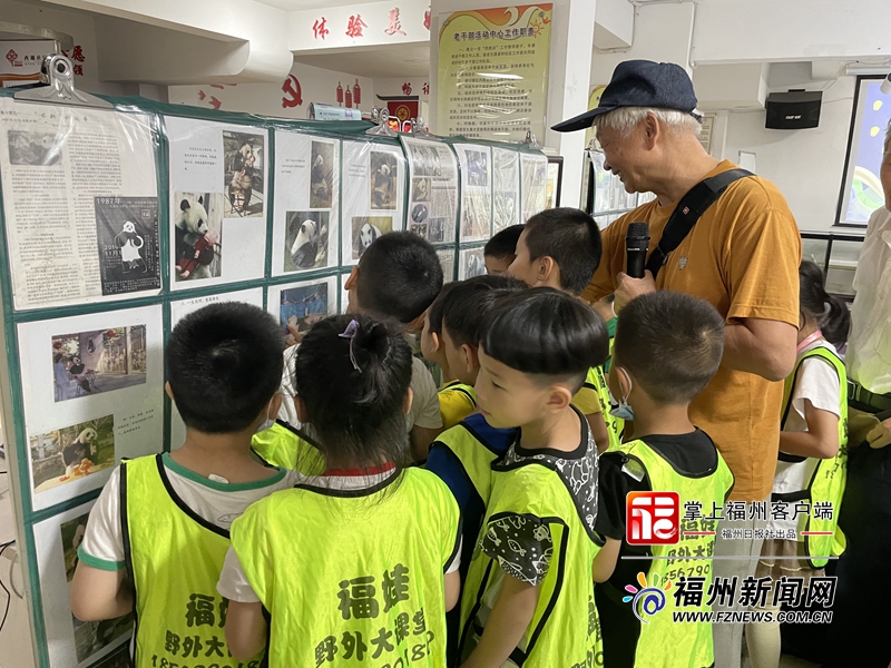 71岁铁杆“熊猫迷” 在家为“国宝”办展
