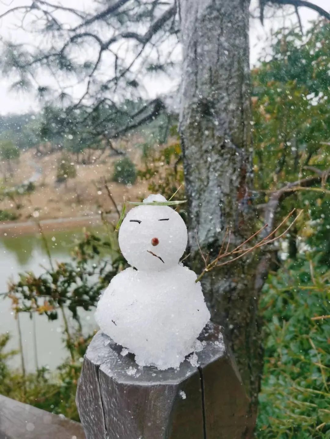 寒潮预警！福州明起大降温！鼓岭会下雪吗？