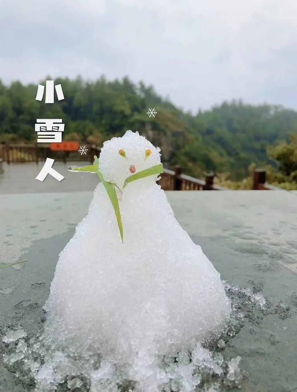 寒潮预警！福州明起大降温！鼓岭会下雪吗？