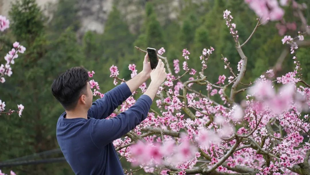 三月去闽清下祝，来一场“桃花源”式的乡村游！