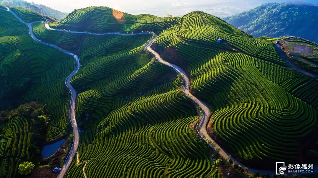 福州最美茶山在哪里？