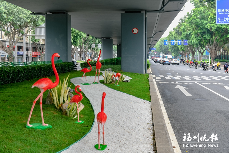 福州全方位推进城市品质提升 生态智慧新“榕”颜迎接八方客