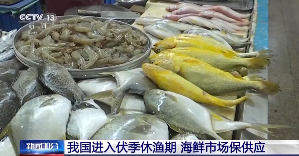 伏季休渔期 各地海鲜市场海产品供应充足价格稳定
