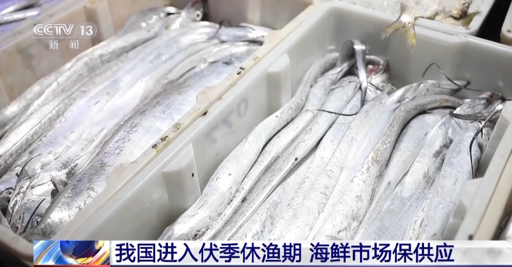 伏季休渔期 各地海鲜市场海产品供应充足价格稳定