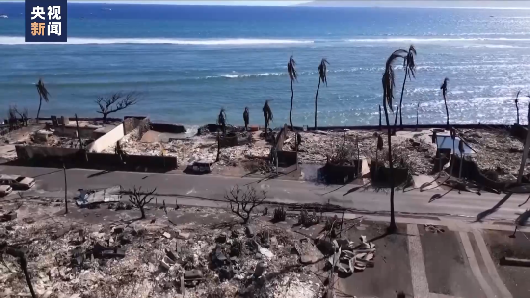 美国夏威夷山火已致数十人死亡！火灾前后对比图触目惊心