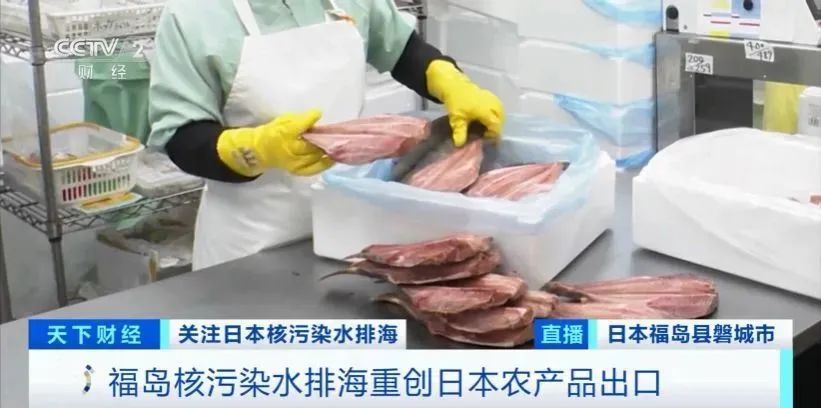 日本公布最新“检测结果”，样本是两条鱼！日企心态崩了