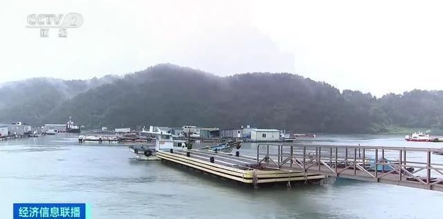 销路受阻叠加水温升高 韩国石斑鱼大量死亡