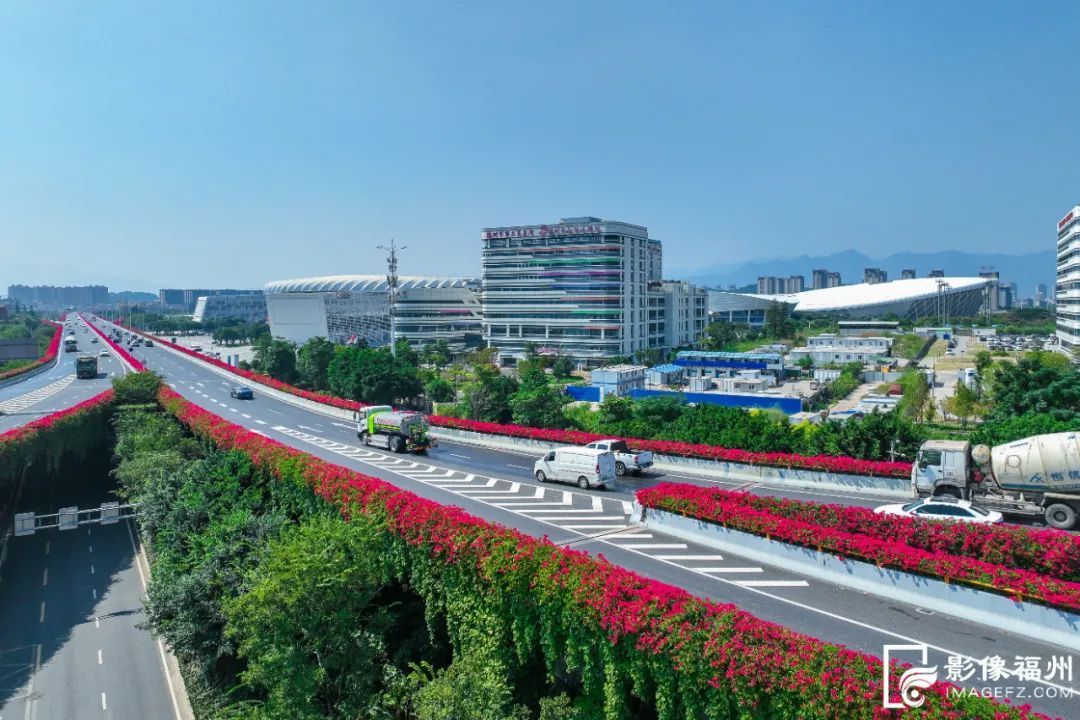 盛放如彩带！福州“空中花廊”上线！
