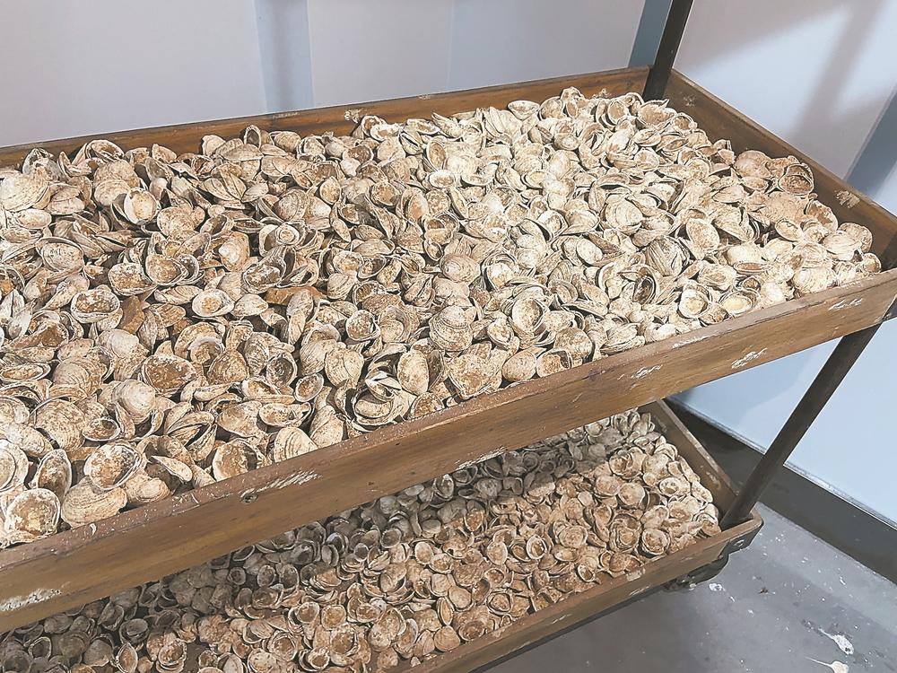 闽侯小箬：大山里有个考古博物馆