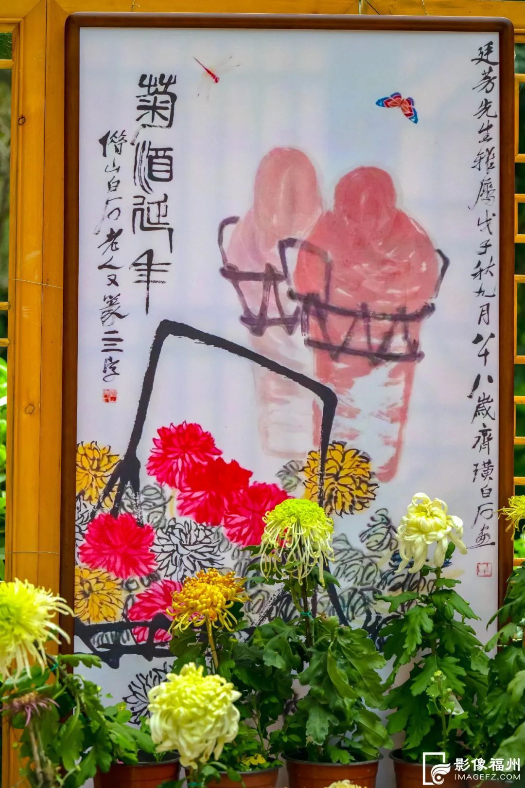 近40000盆！福州西湖菊花展今日开幕！