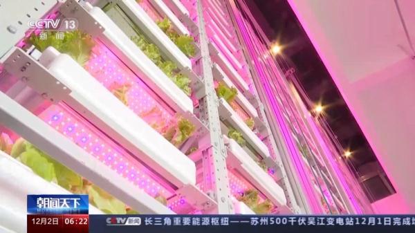 20层“高楼”里种菜 我国自主研发首座无人化垂直植物工厂建成