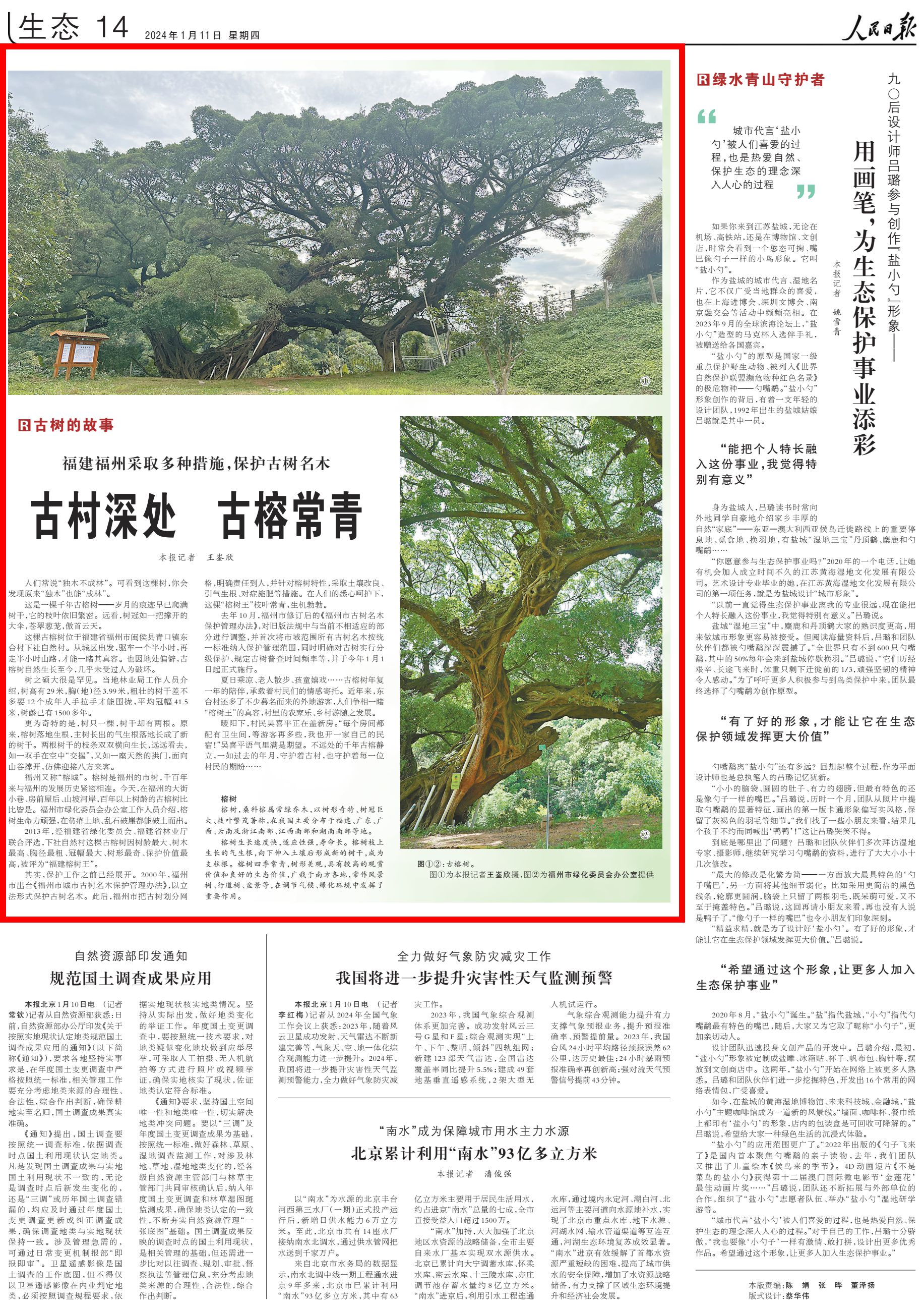 人民日报点赞福州保护古树名木：古村深处 古榕常青