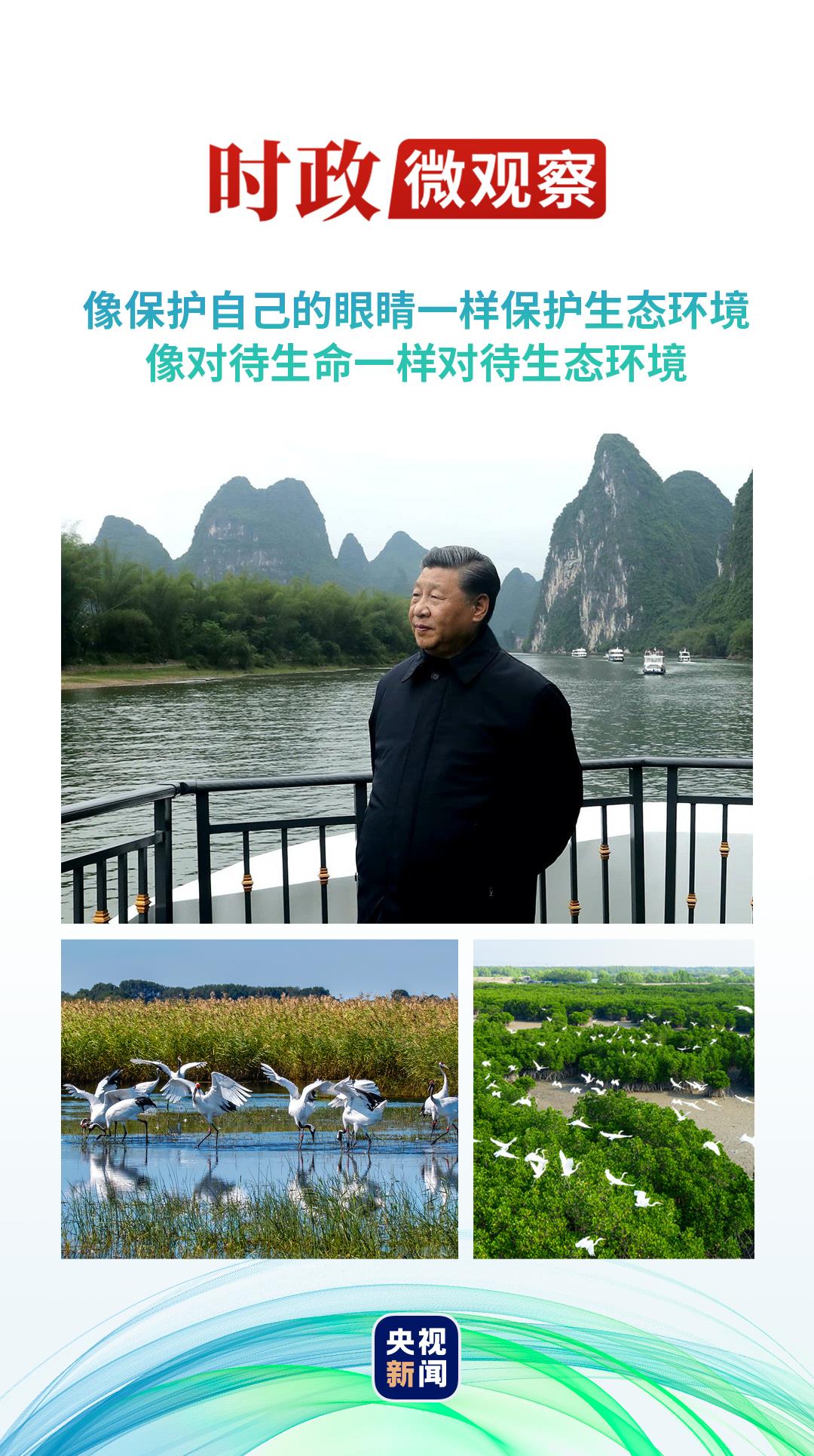 和谐共生丨地球上的这些“宝”，总书记叮嘱要呵护好