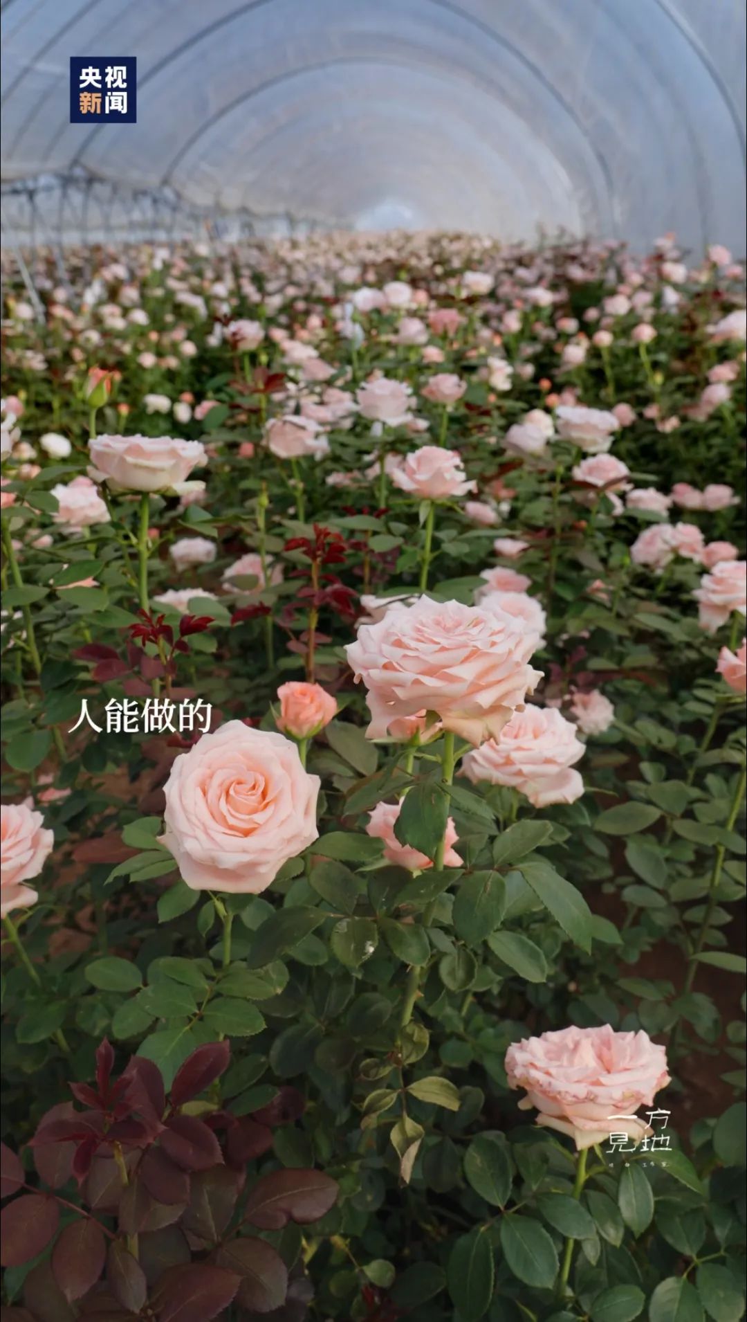 忙碌的日子里，更要照顾好自己