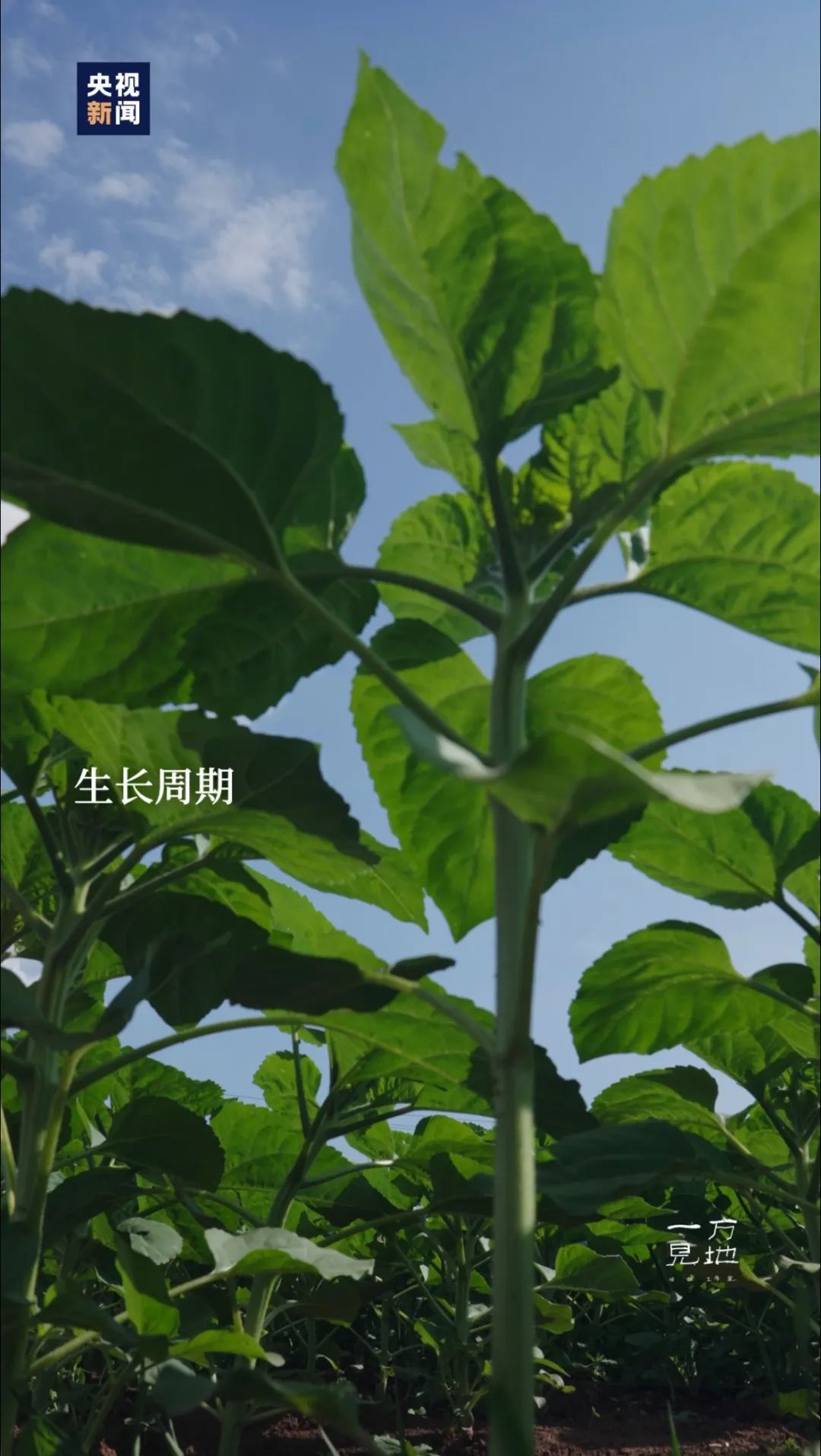 忙碌的日子里，更要照顾好自己