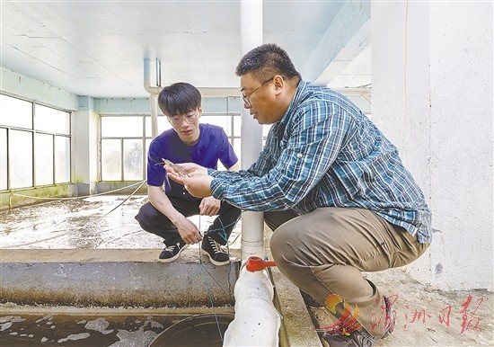 全省首个工厂化循环水“楼房养虾”基地探访