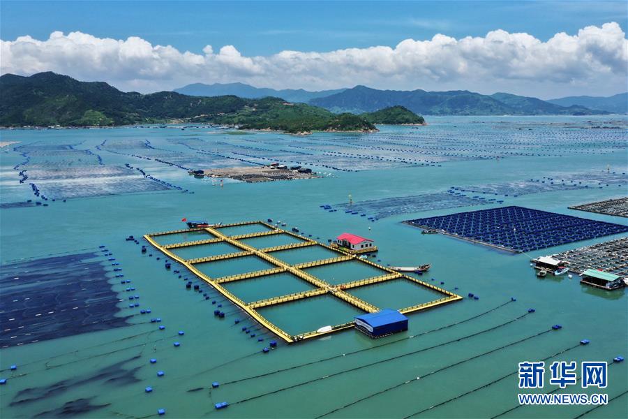 霞浦：清海扩航在行动