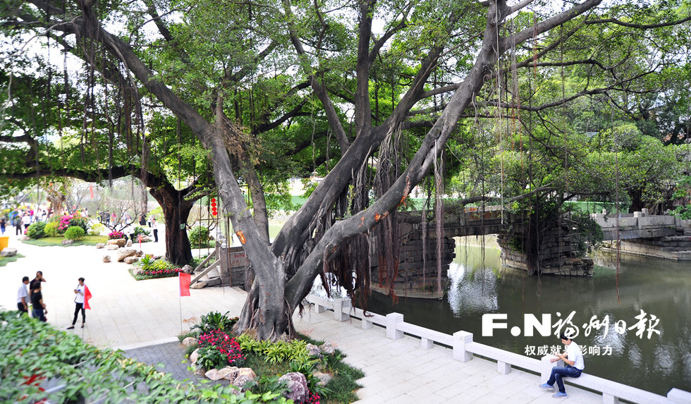 台江打铁港公园开园迎客 打造特色梅林景观