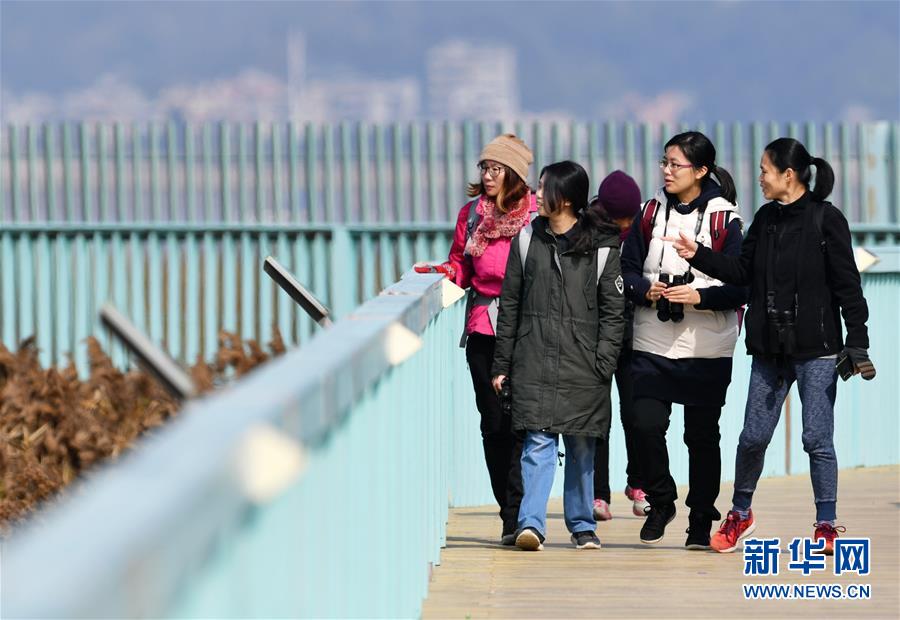 福州：闽江口湿地观鸟 探索湿地自然