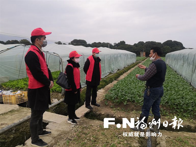 福州市农业农村局科技惠“三农”抓好蔬菜生产