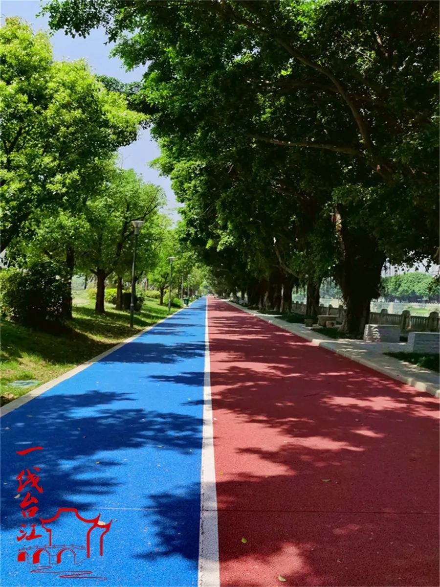 光明港河南岸，这条红蓝步道等你来打卡！