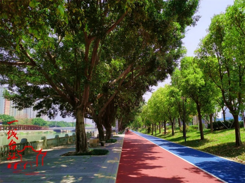光明港河南岸，这条红蓝步道等你来打卡！