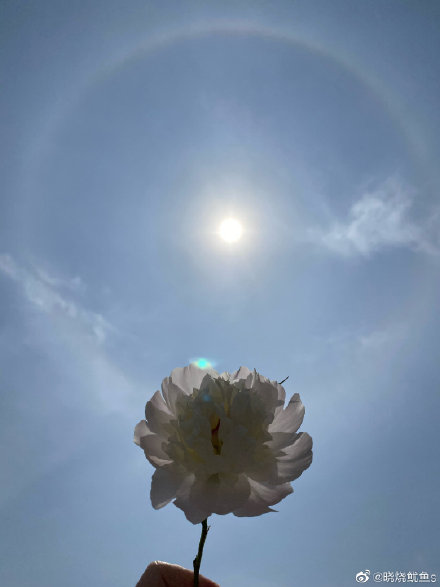 酷炫！福州太阳自带彩色“光环”！