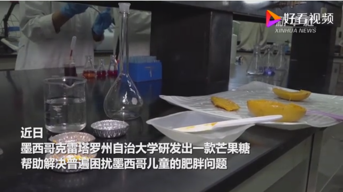 墨西哥大学研制出芒果糖助儿童减肥