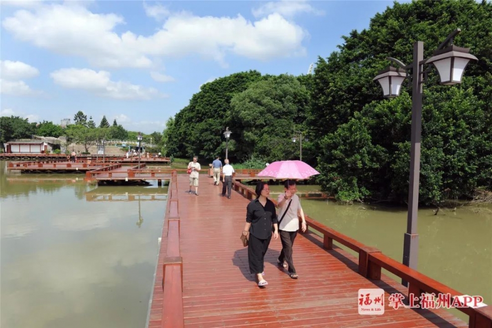 福州西湖木栈道修复改造 将设临时浮桥方便市民游园