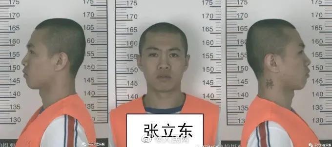 悬赏从5000元升至10万元！极度危险张立东已落网
