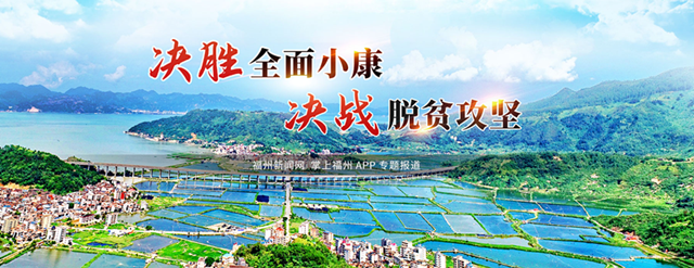 福州定西人才交流真给力 跨越千里牵手奔小康