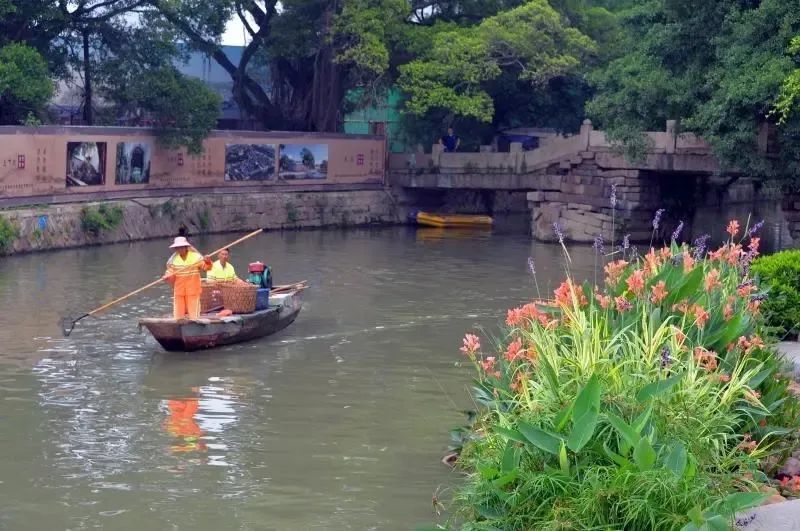 水清岸绿、古庙绿荫……台江12条内河逐步通过验收
