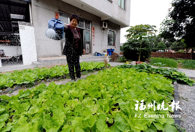 闽侯后福村：“后花园”里有幸福
