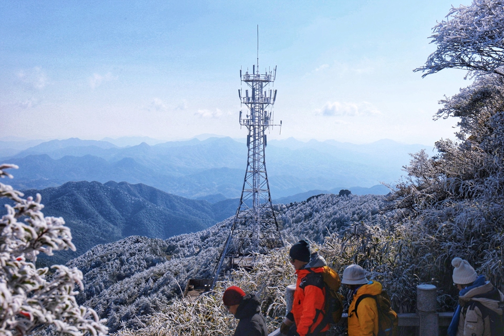 德化九仙山现雾凇 玉树琼枝晶莹剔透