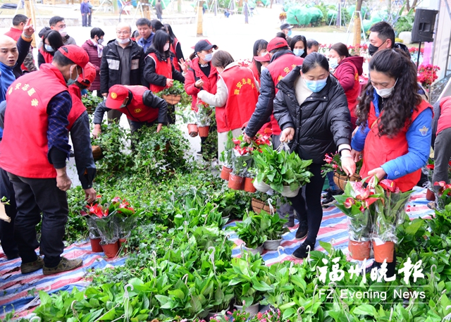 晋安岳峰镇：上千盆鲜花送给百姓