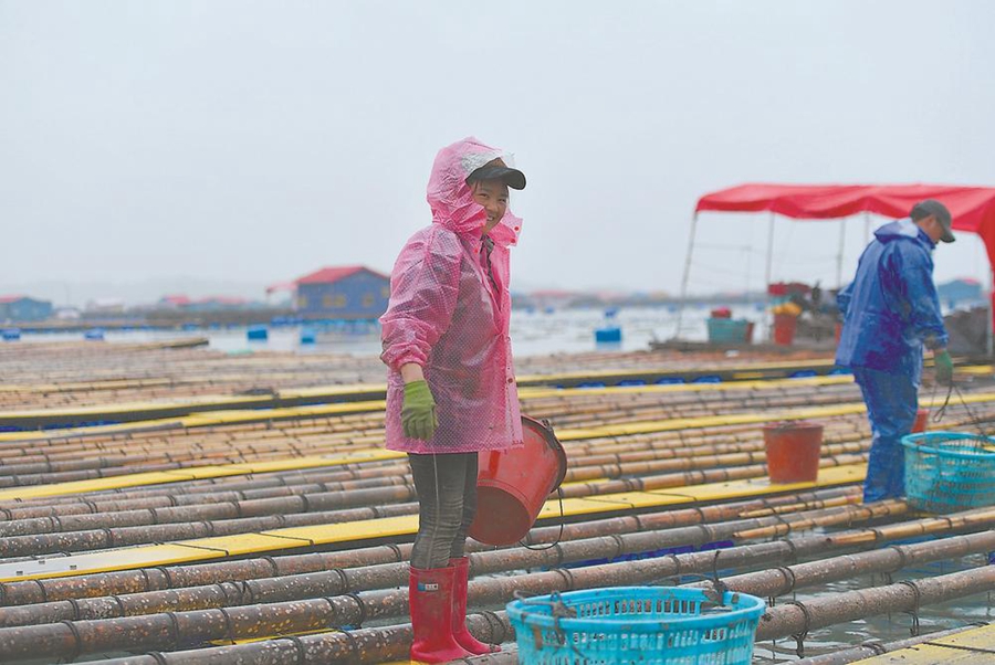 “春运母亲”，渔排上夫妻团聚